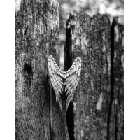 Срібна каблучка Крила (3836) Рекомендації для вас - 2