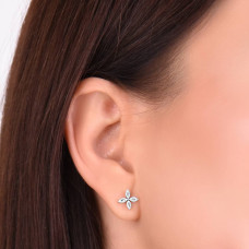 Срібні сережки-гвоздики (40070) - 2