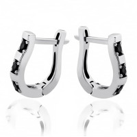 Срібні сережки (4794) Нещодавно переглянуті