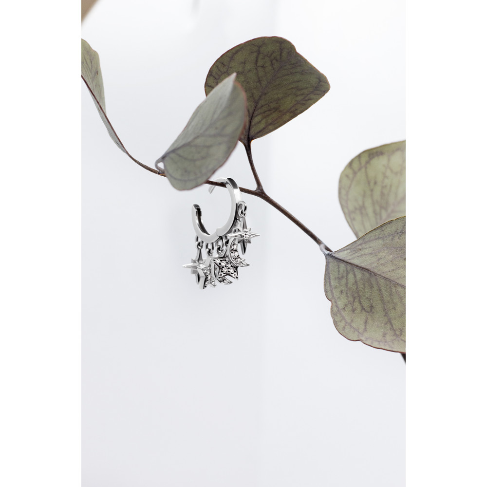 Срібна моносережка (4858) - 8