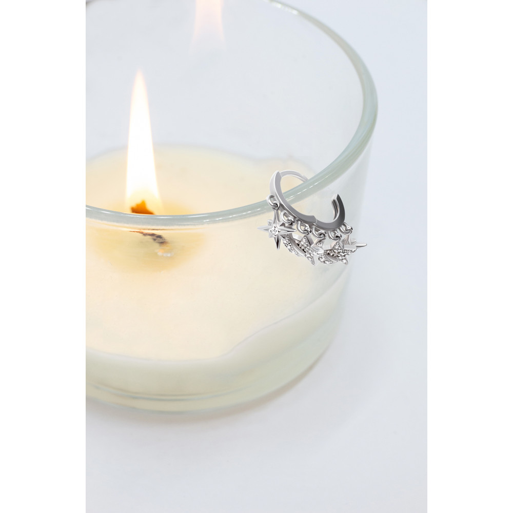 Срібна моносережка (4858) - 9