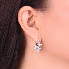 Срібна моносережка (4858) - 2