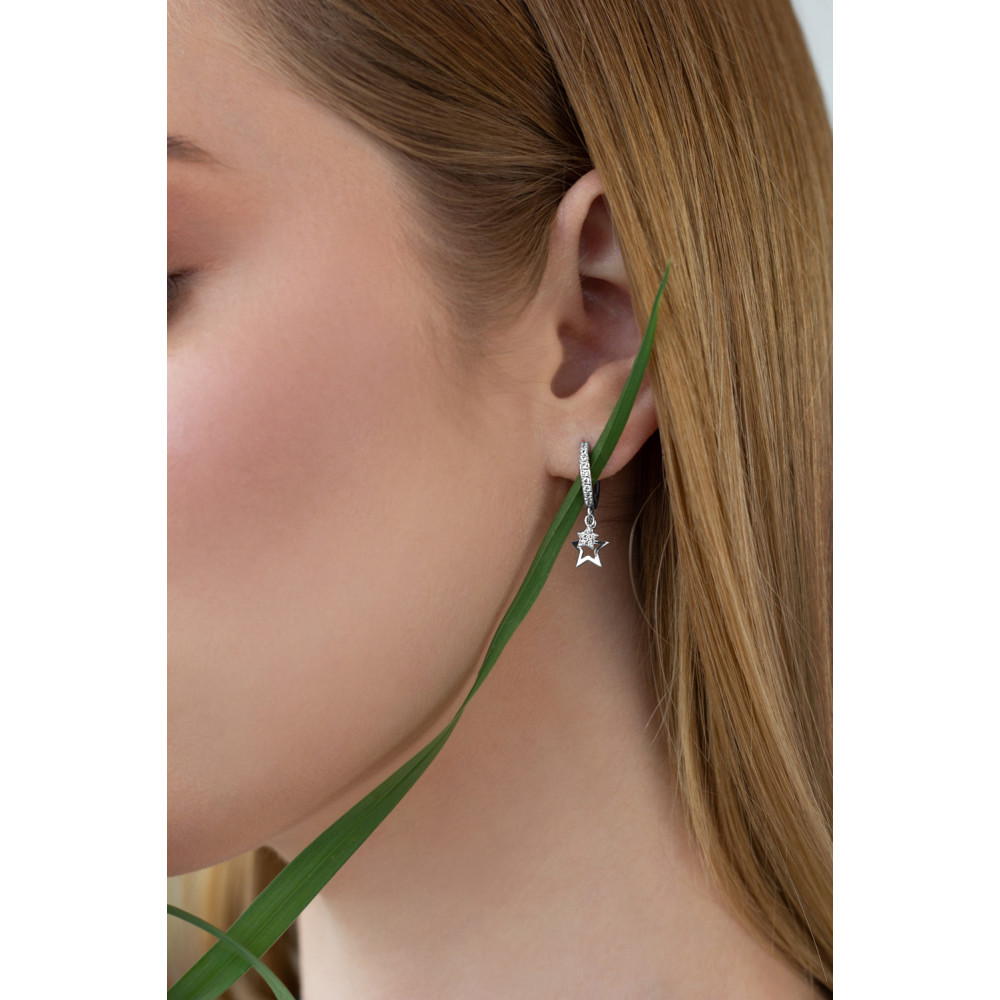 Срібна моносережка (4878) - 2