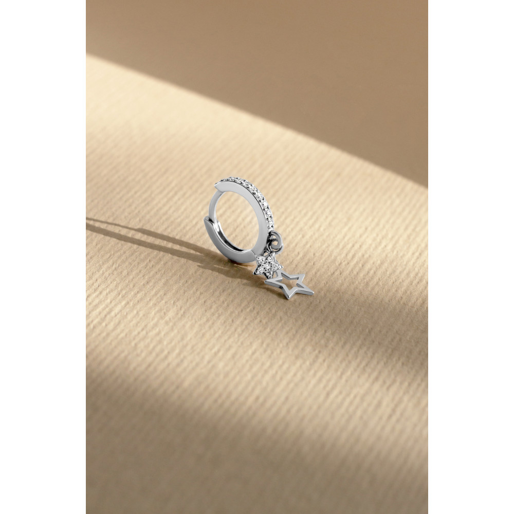 Срібна моносережка (4878) - 4