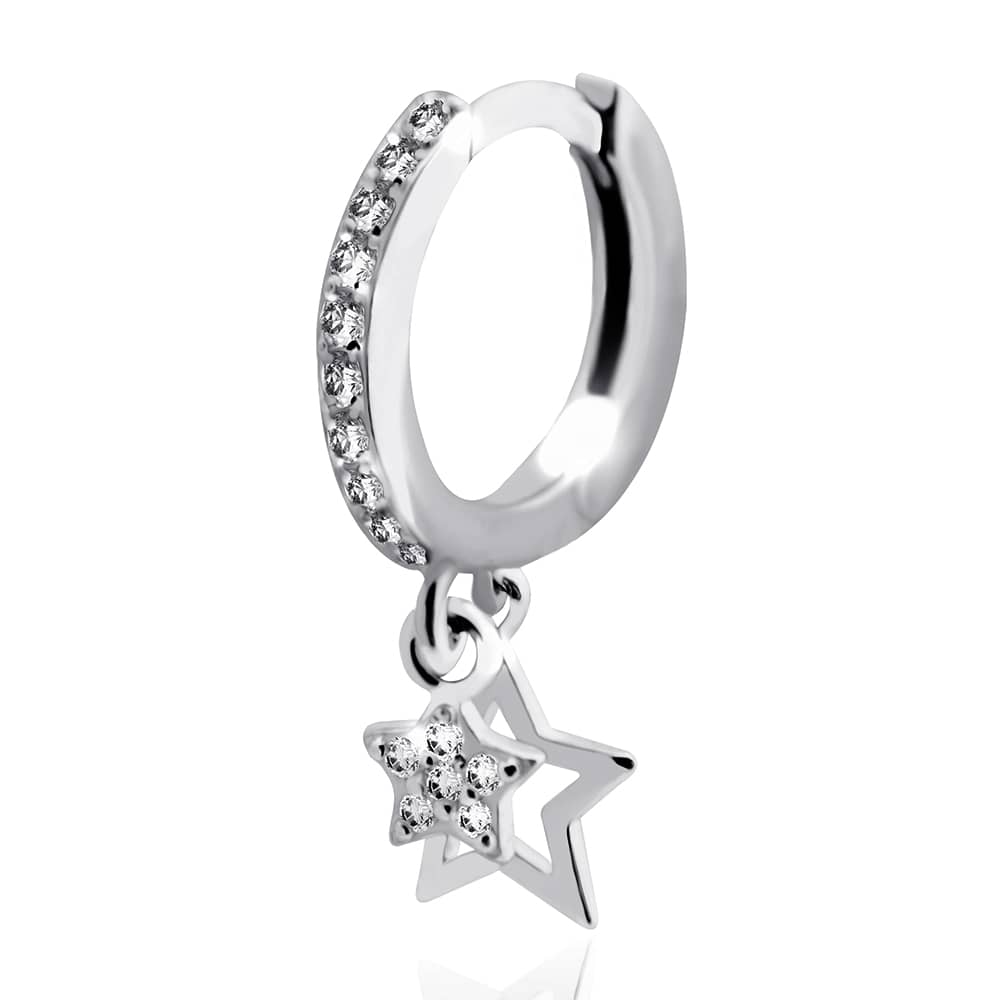 Срібна моносережка (4878) - 1