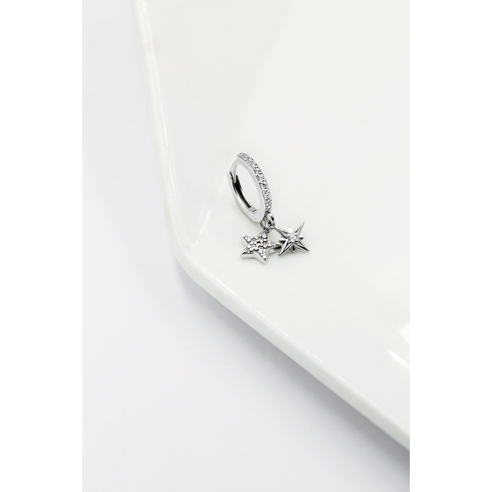 Срібна моносережка (4879) - 6