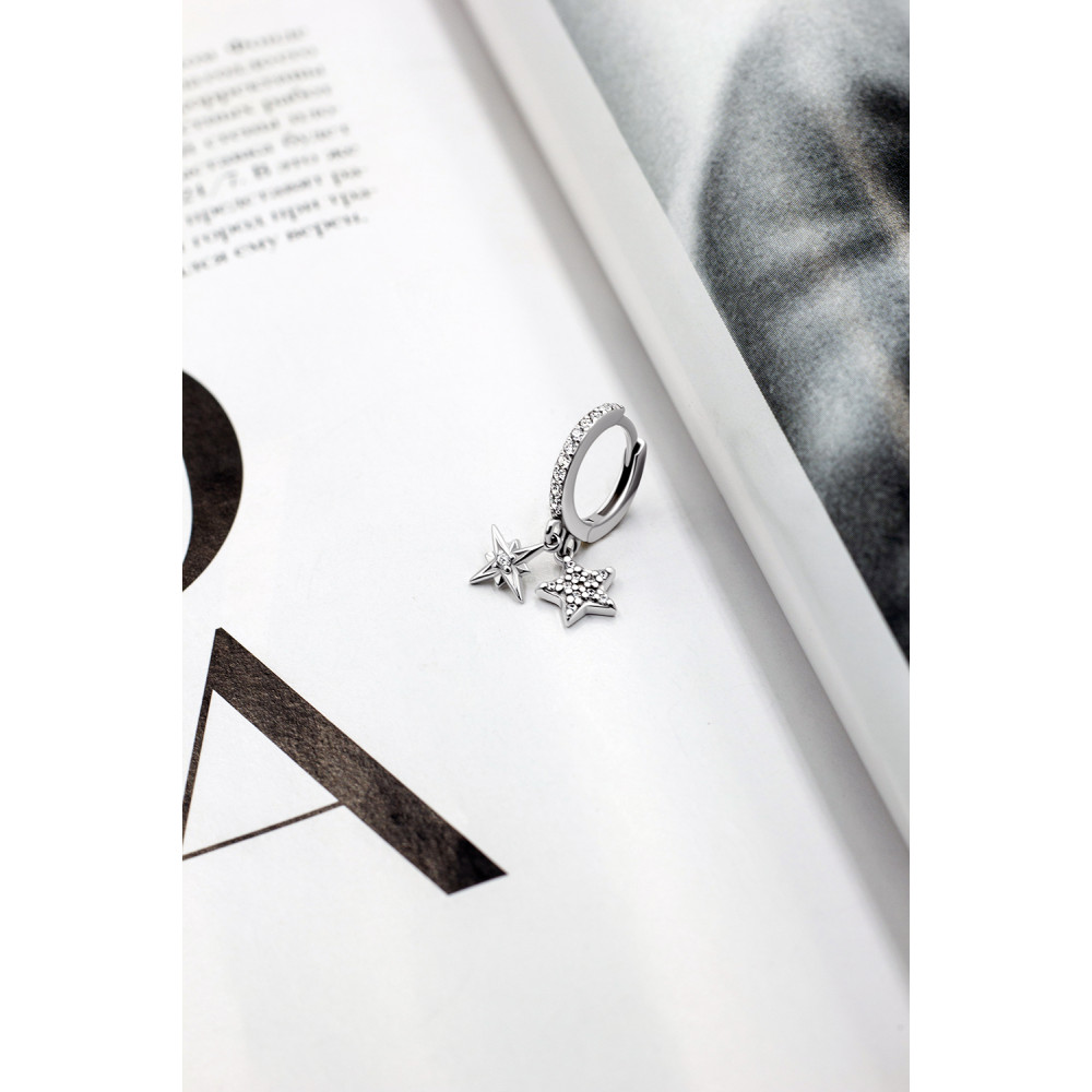 Срібна моносережка (4879) - 7