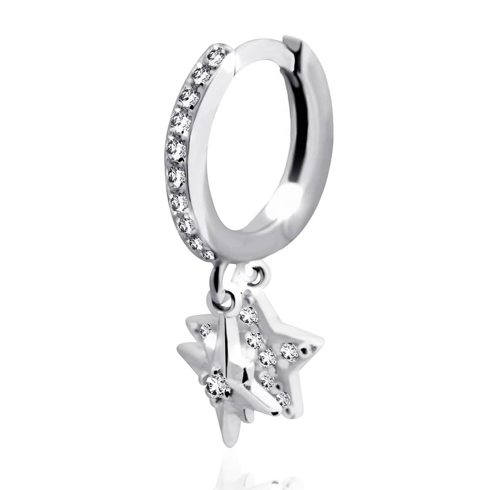 Срібна моносережка (4879) - 1