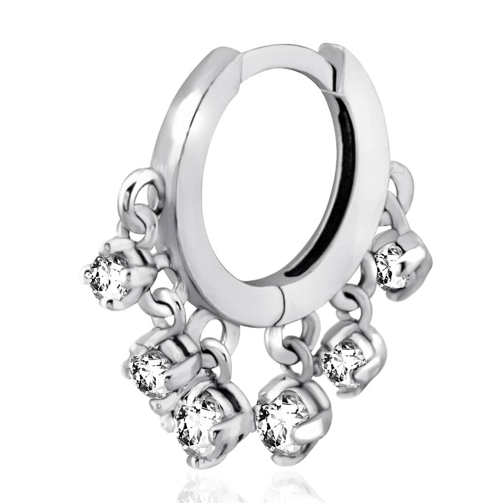 Срібна моносережка (4890) - 1