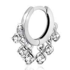 Срібна моносережка (4890)