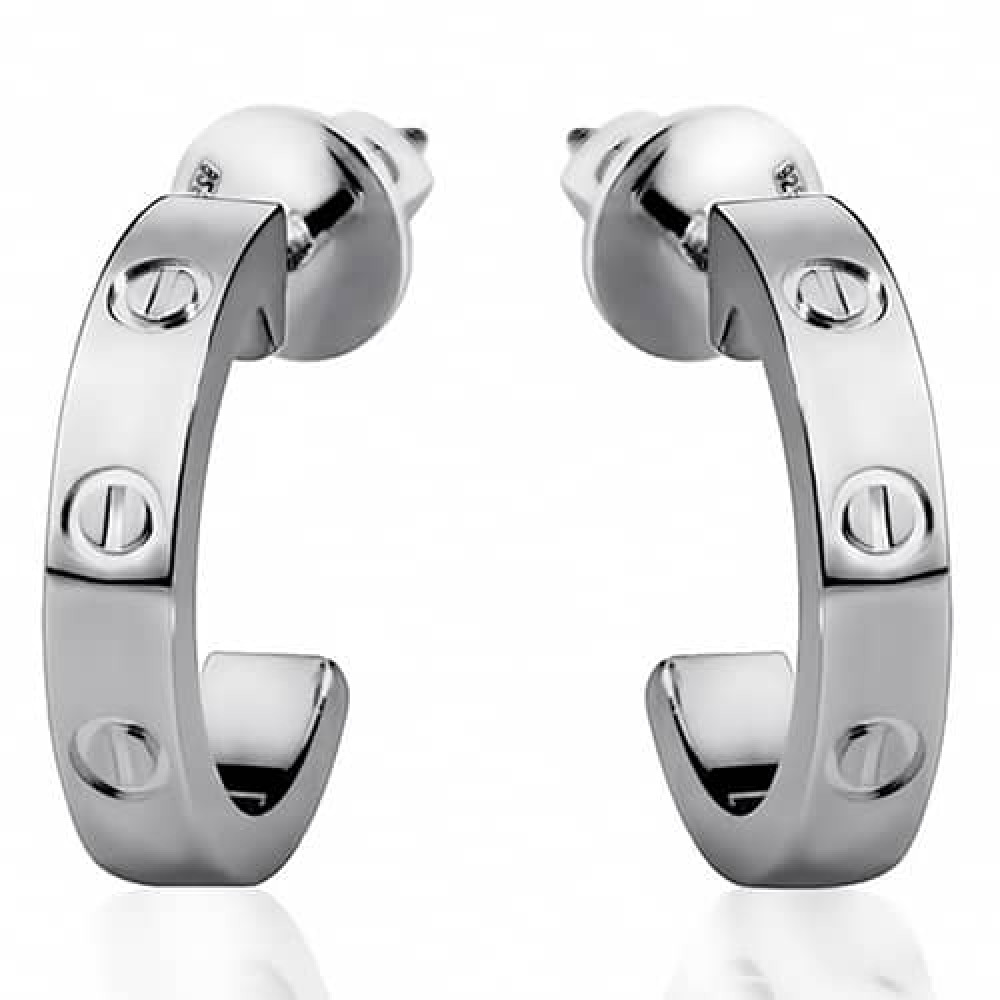 Срібні сережки-гвоздики (4941) - 1