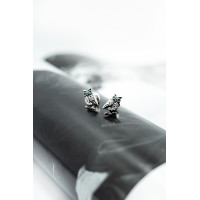 Срібні сережки-гвоздики Сова (4984) Рекомендації для вас - 2