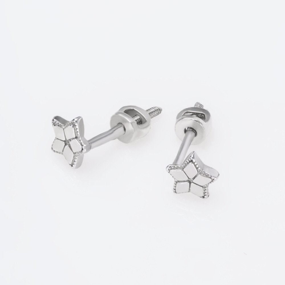 Срібні сережки-гвоздики (4729) - 1